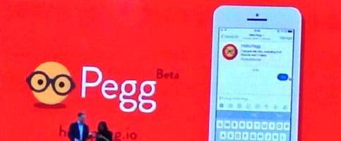 Pegg 483 for web